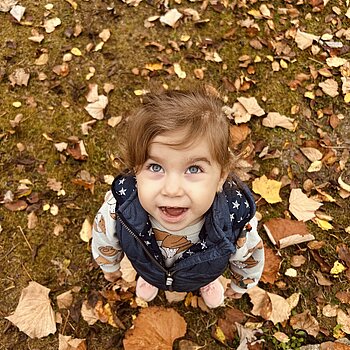 🍂🍁