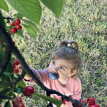 🍒