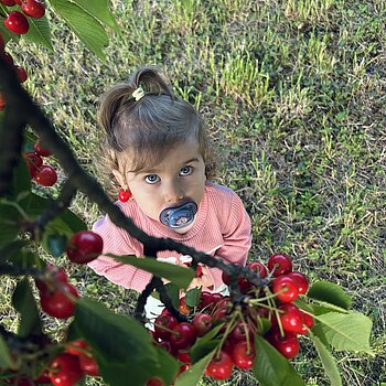 🍒