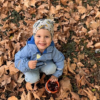 🍁🍂