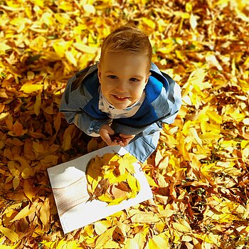 🍂🍁