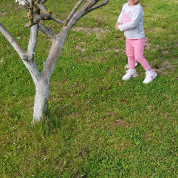 Curica vani u proljetnom izdanju.