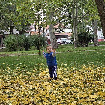 Jesen u parkiću