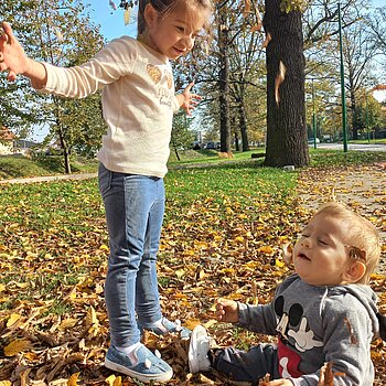 🍂🍂🍂🍂🍂🍂🍂🍂🍂🍂