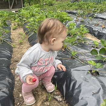 🍓🍓