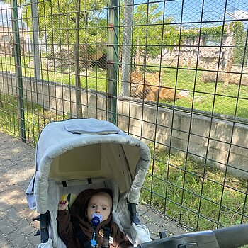 Zoo vrt✨