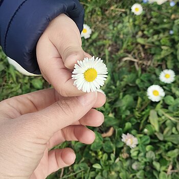 Proljece ne dolazi naglo, ono se prvo pojavi u jednom malom cvijetu