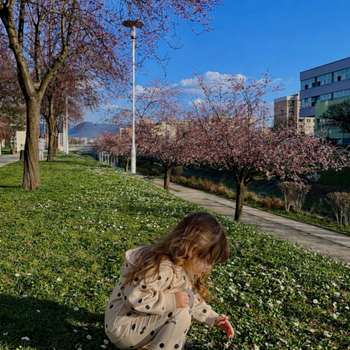 Proljeće u malim trenucima 🌸💛