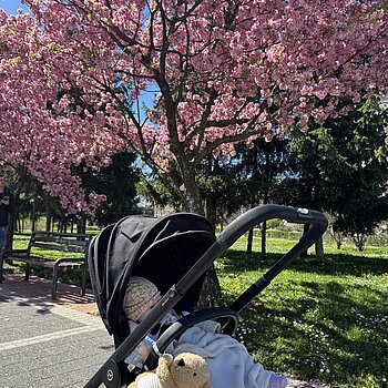 Asja u svijetu proljeća 🩷