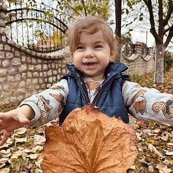 🍁🍁