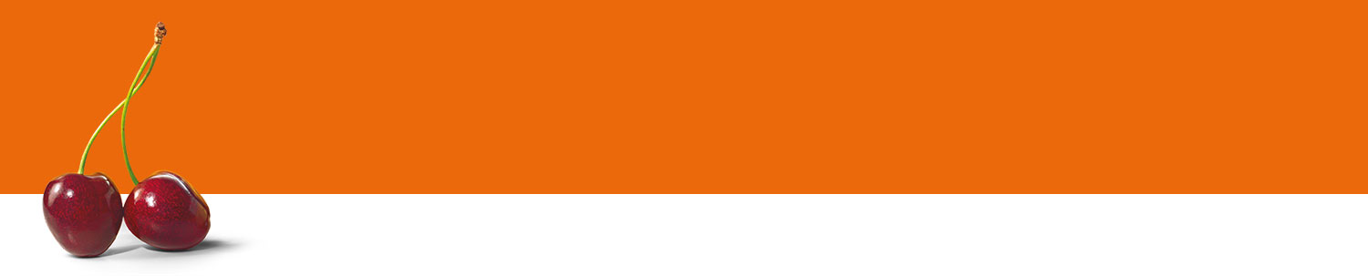 Two cherries with stems against a white and orange background.