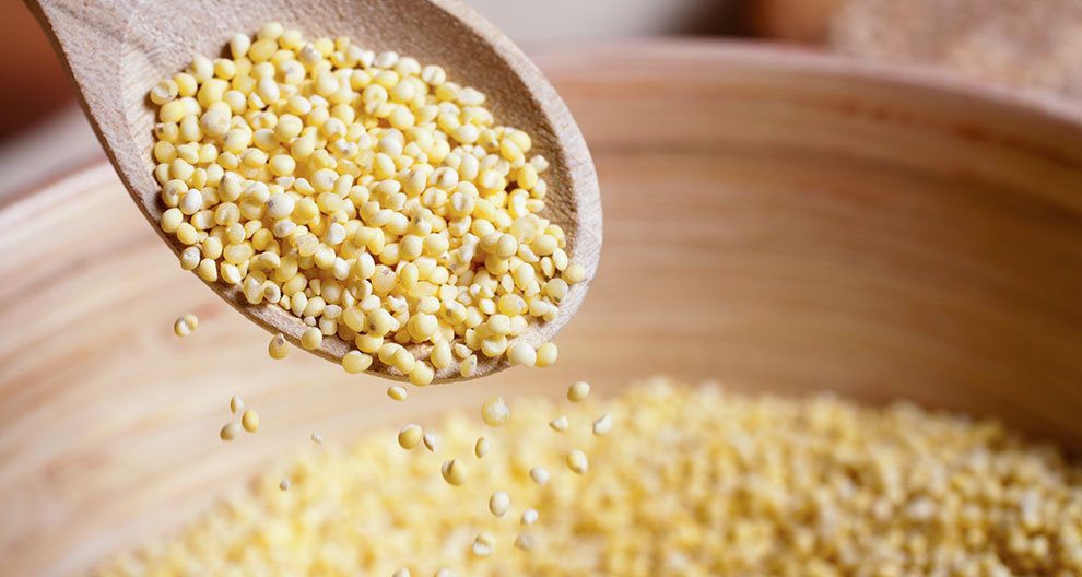 A wooden spoon filled with small, round, yellow grains rests above a bowl of the same grains.