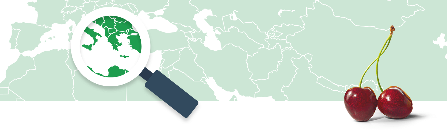 A magnifying glass focuses on a region of a world map, while a pair of cherries stands out in the foreground.
