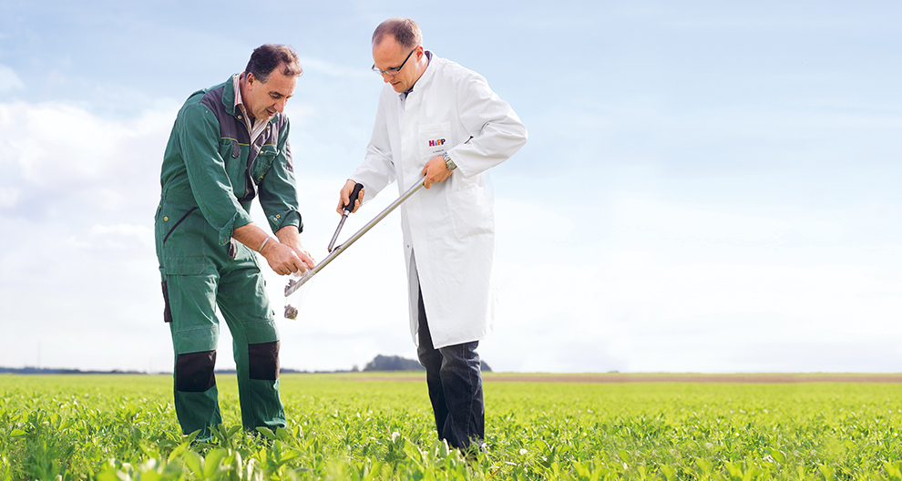Two men, one in a white lab coat and the other in green work clothes, are examining a plant in a field.